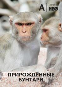 Прирождённые бунтари